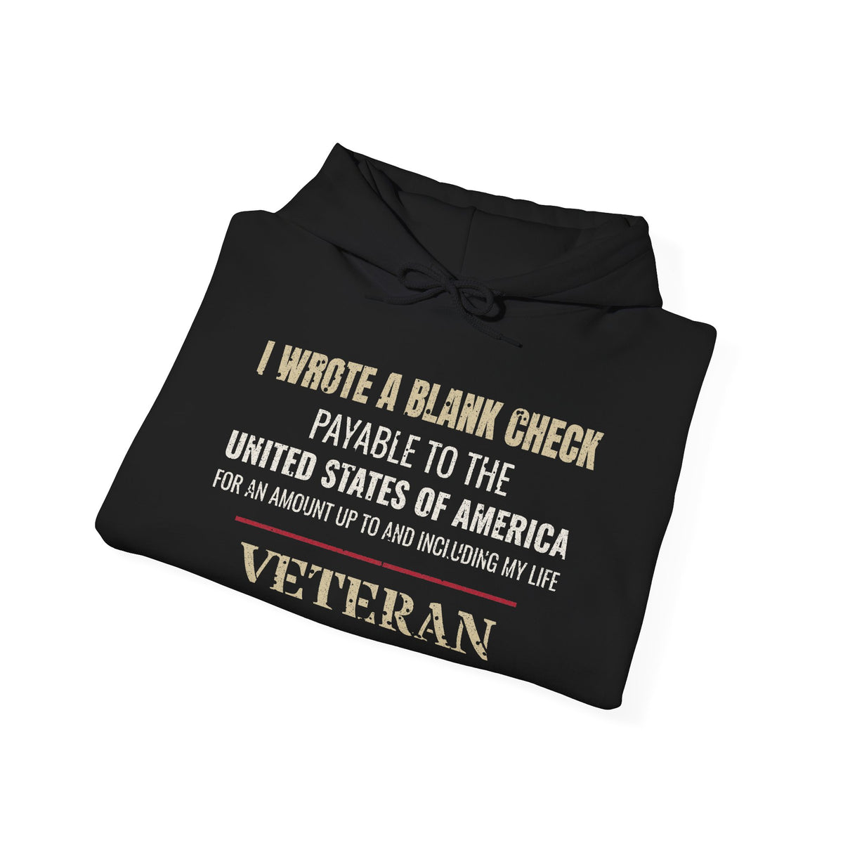 I Wrote a Blank Check Veteran Hoodie