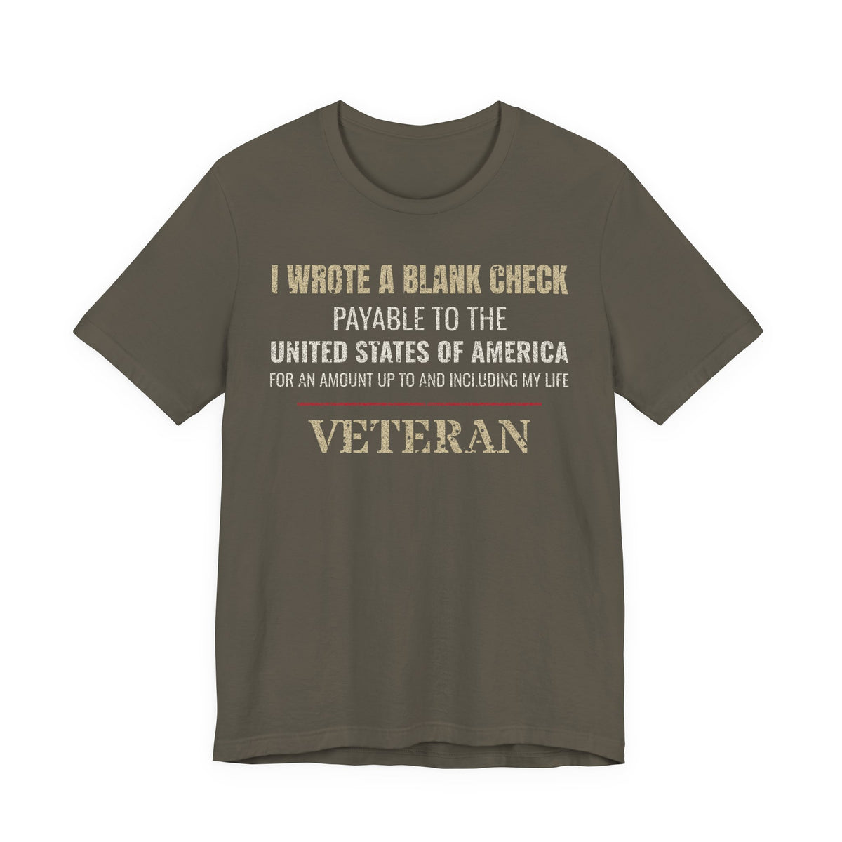 I Wrote a Blank Check Veteran Tee