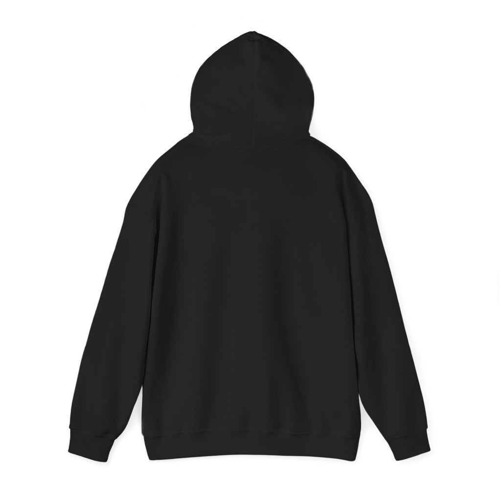 DD-214 Honorably Discharged Hoodie