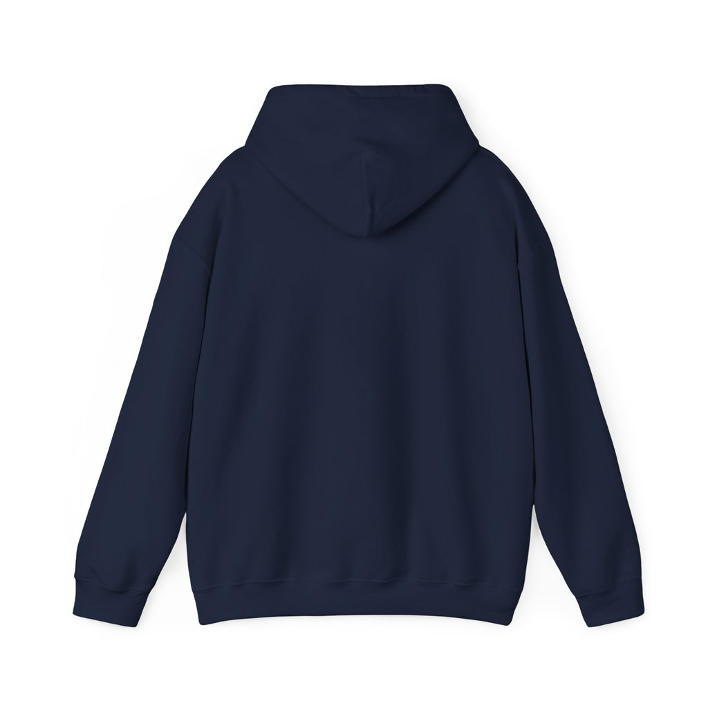 DD-214 Honorably Discharged Hoodie