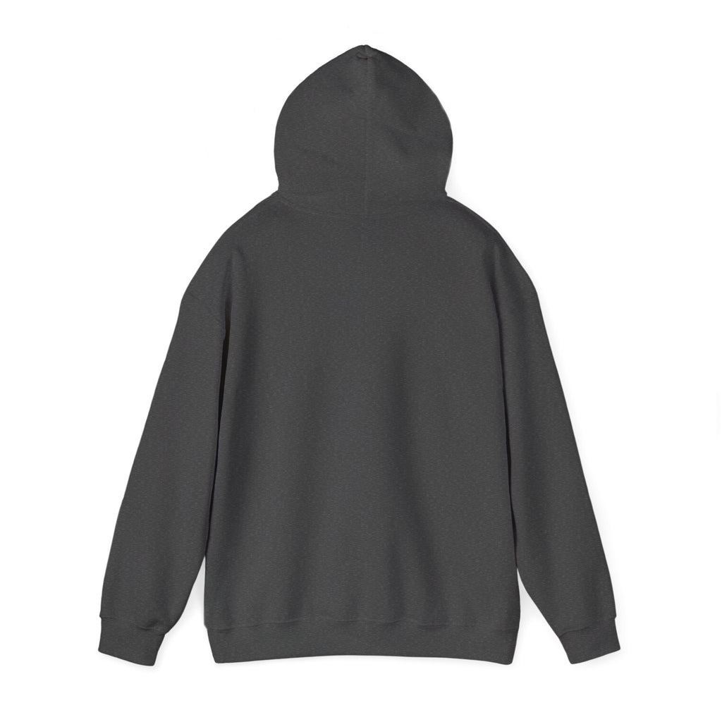 Grumpy Old Veteran Hoodie