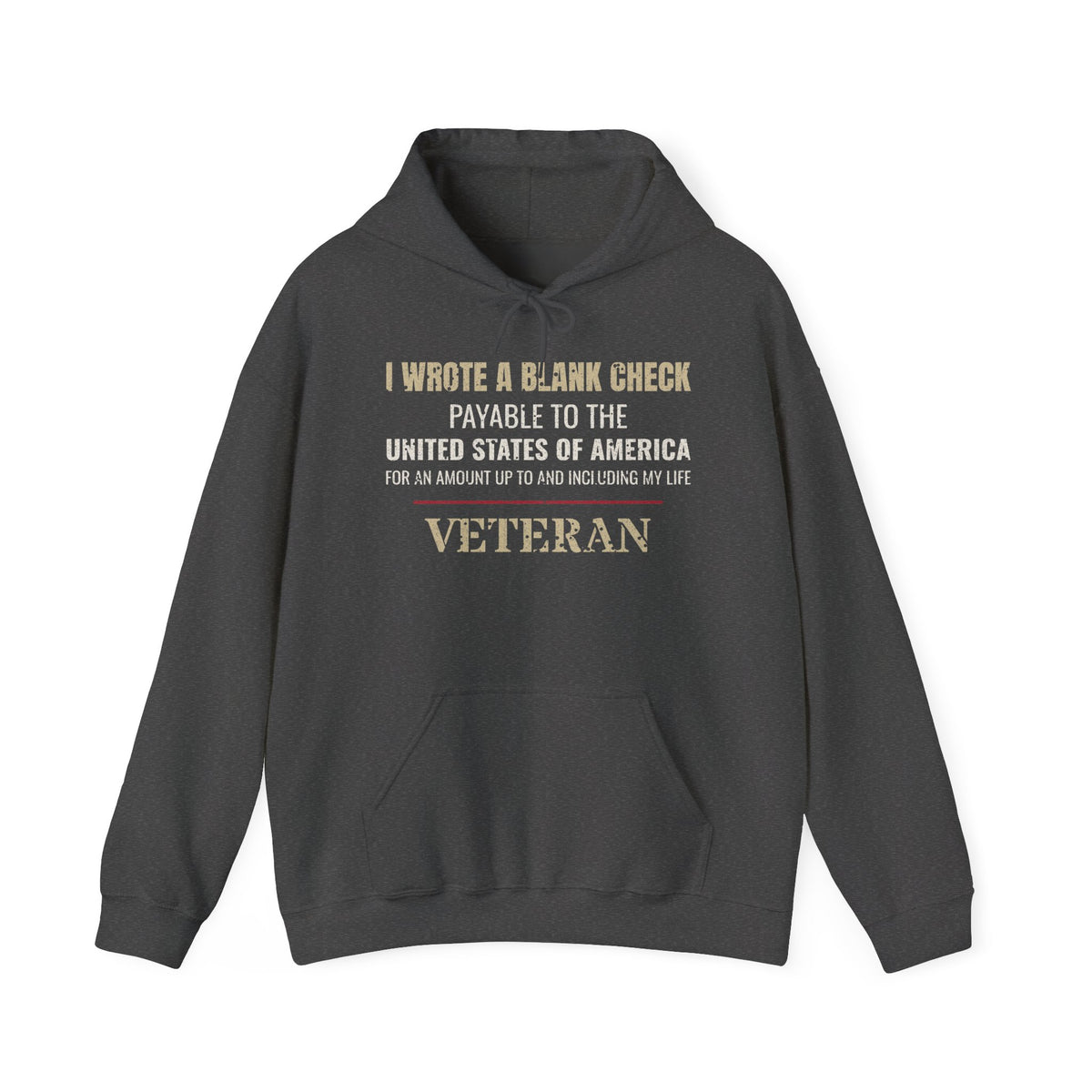 I Wrote a Blank Check Veteran Hoodie