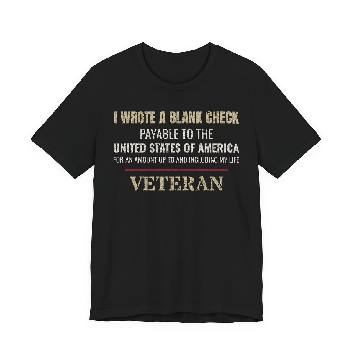 I Wrote a Blank Check Veteran Tee