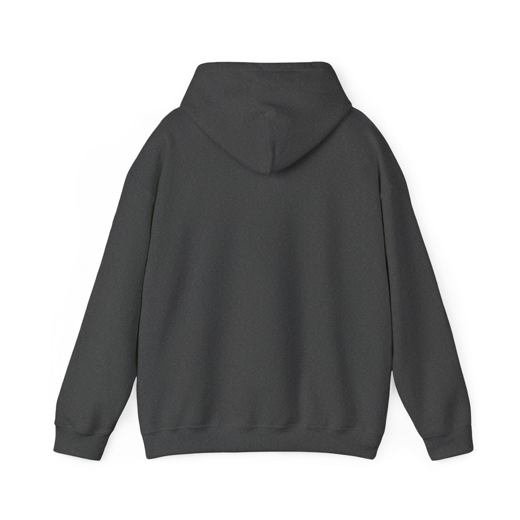 DD-214 Honorably Discharged Hoodie