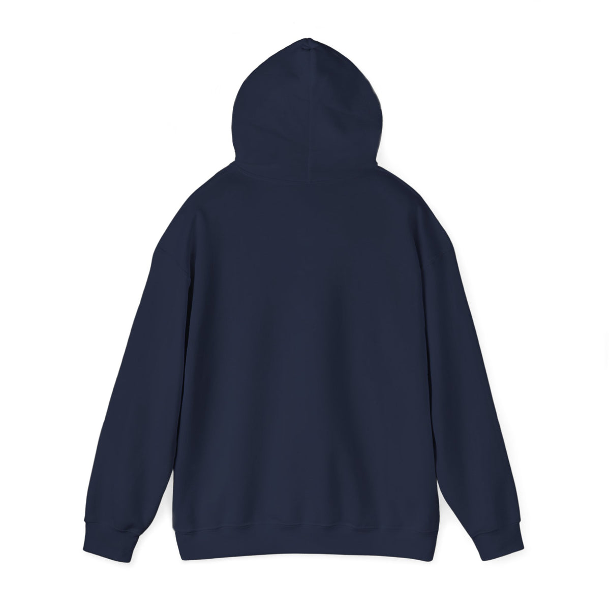 I Wrote a Blank Check Veteran Hoodie